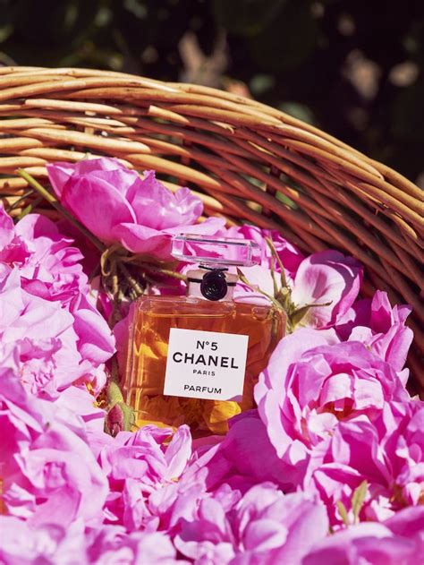 profumo chanel tuberosa rosa arancio gelsomino|GABRIELLE CHANEL L’EAU .